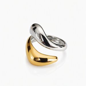 Two Tone Cwtch Ring